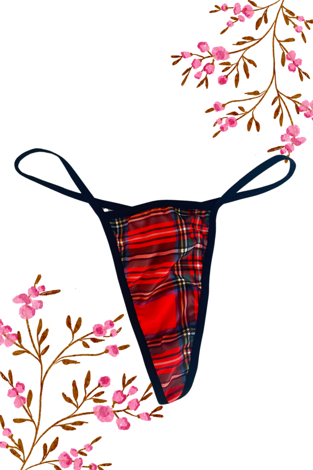 Aria's Closet Süprem Kareli Tanga String